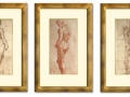 Male Nude Drawings